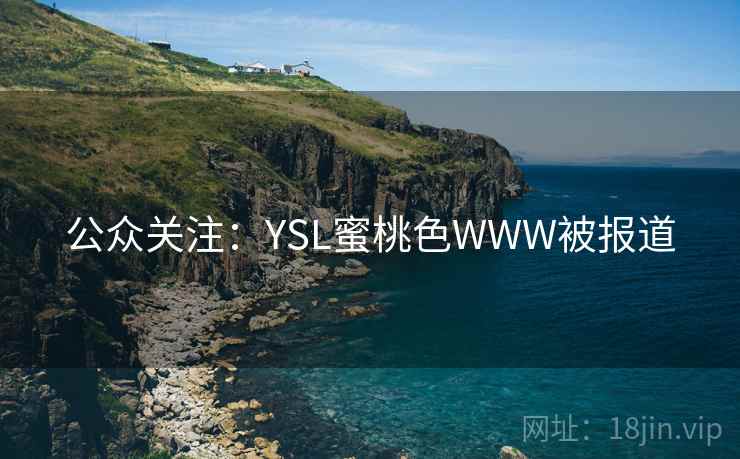 公众关注：YSL蜜桃色WWW被报道
